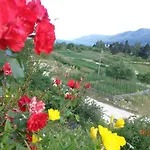 Family Panorama 서르니차