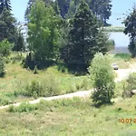 Family Panorama
