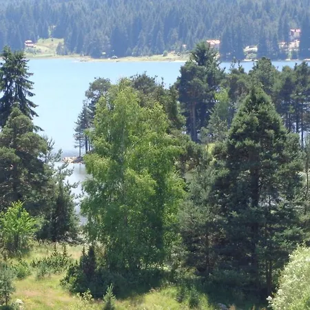 Family Panorama