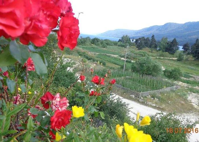 Family Panorama Sarnitsa
