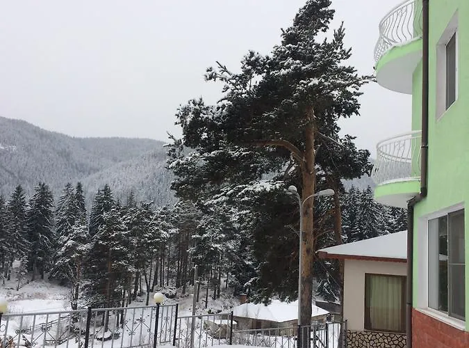 Family Panorama * Szarnica